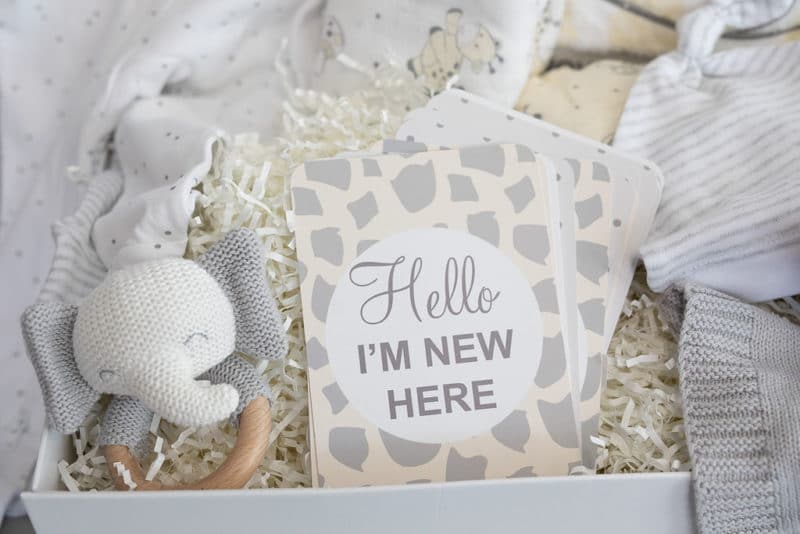 Welcome to the jungle - Baby Hamper